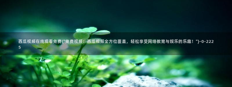 西瓜影院年轻的妈妈